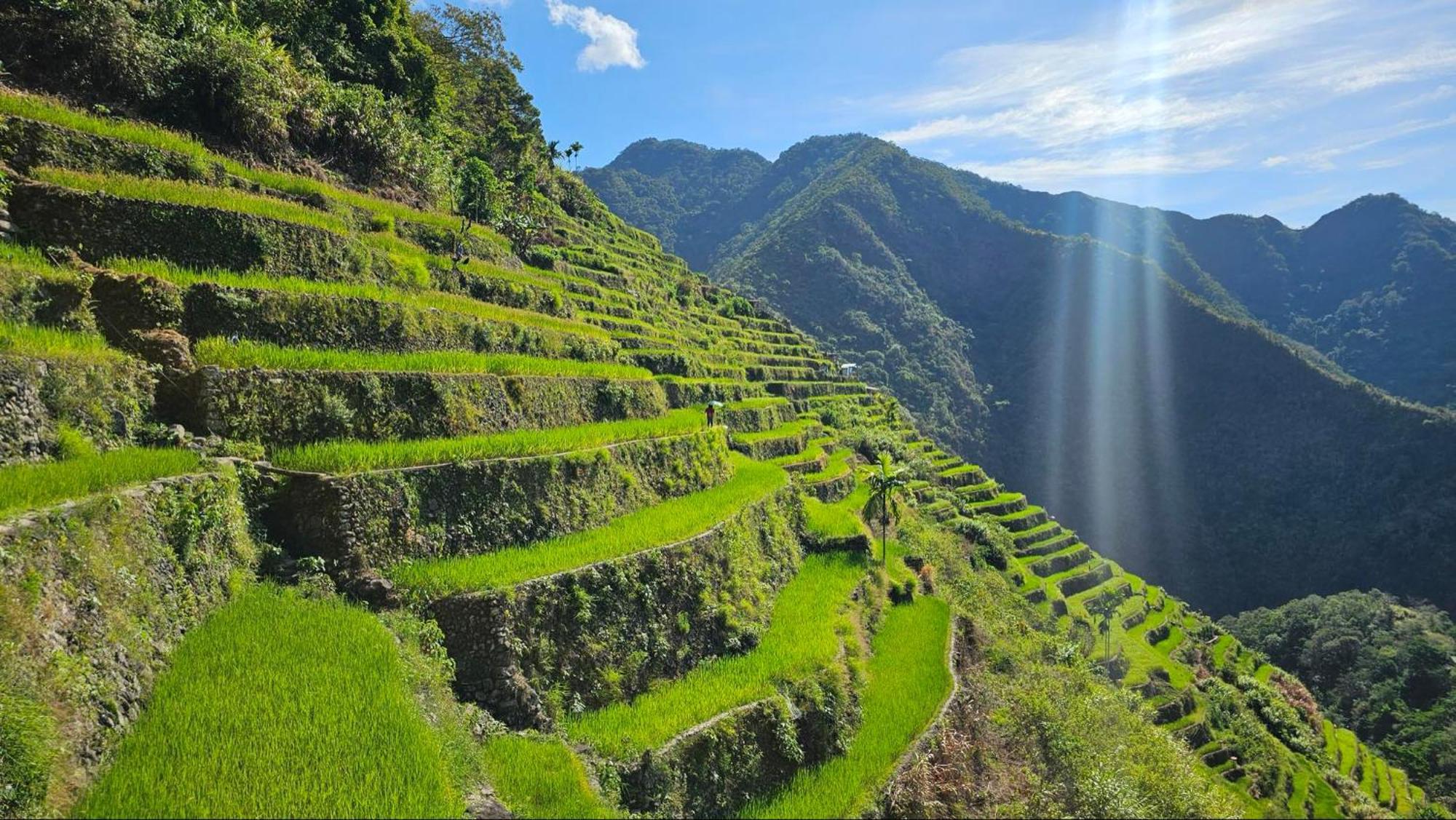 Batad Pension And Restaurant Banaue Kültér fotó