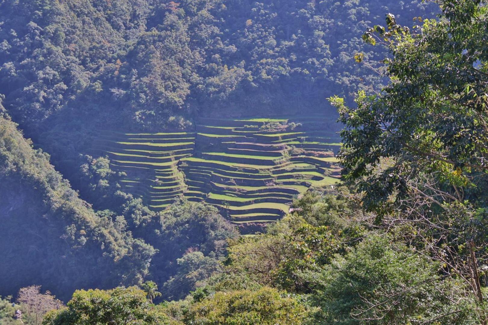 Batad Pension And Restaurant Banaue Kültér fotó